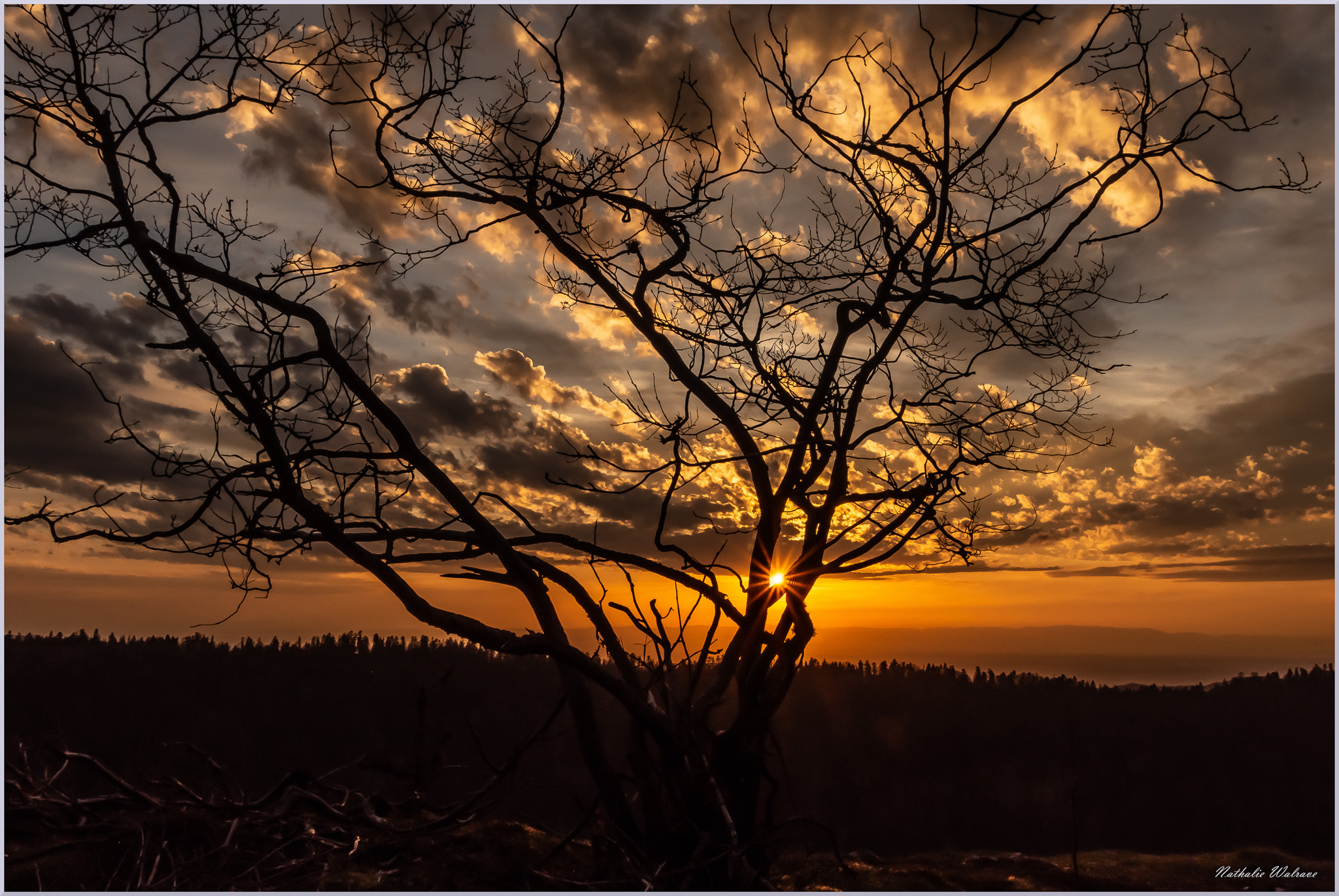 paysage de coucher de soleil